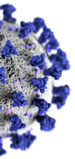 covid 19 virus illustration half slice