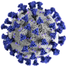 covid 19 virus illustration small
