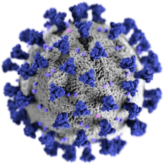 covid 19 virus illustration